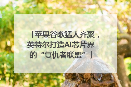 苹果谷歌猛人齐聚，英特尔打造AI芯片界的“复仇者联盟”