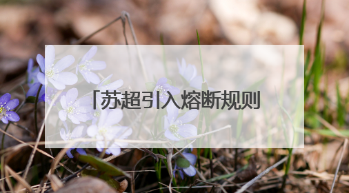 苏超引入熔断规则：单场净胜球超过8个，比赛立即终止