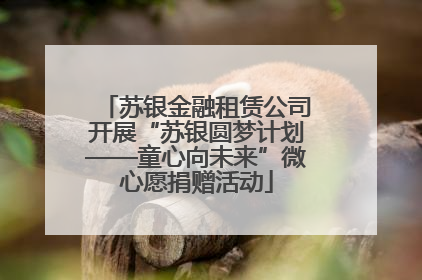 苏银金融租赁公司开展“苏银圆梦计划——童心向未来”微心愿捐赠活动