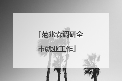 范兆森调研全市就业工作