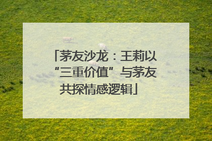 茅友沙龙：王莉以“三重价值”与茅友共探情感逻辑