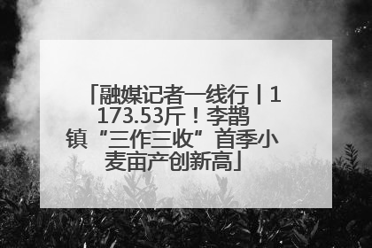 融媒记者一线行丨1173.53斤！李鹊镇“三作三收”首季小麦亩产创新高