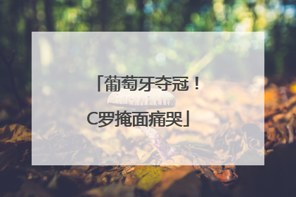 葡萄牙夺冠！C罗掩面痛哭