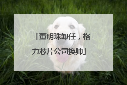 董明珠卸任，格力芯片公司换帅