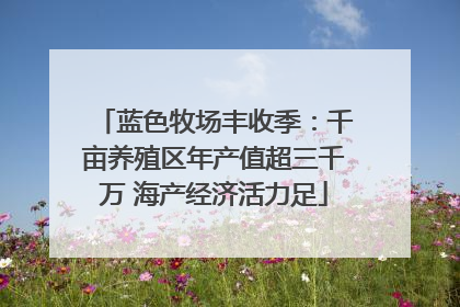 蓝色牧场丰收季：千亩养殖区年产值超三千万 海产经济活力足