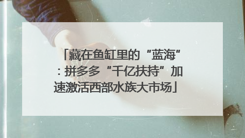 藏在鱼缸里的“蓝海”：拼多多“千亿扶持”加速激活西部水族大市场