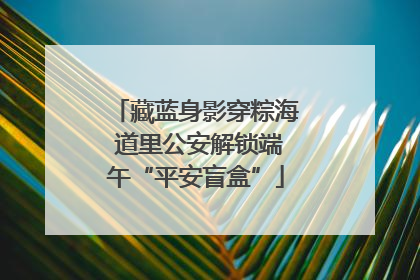 藏蓝身影穿粽海 道里公安解锁端午“平安盲盒”