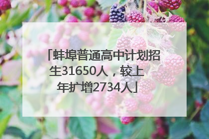 蚌埠普通高中计划招生31650人，较上年扩增2734人