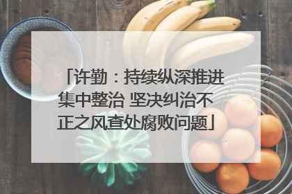 许勤：持续纵深推进集中整治 坚决纠治不正之风查处腐败问题