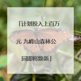 计划投入上百万元 九峰山森林公园即将焕新