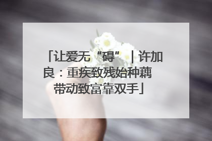 让爱无“碍”｜许加良：重疾致残始种藕 带动致富靠双手