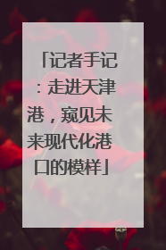 记者手记：走进天津港，窥见未来现代化港口的模样