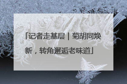 记者走基层｜菊胡同焕新，转角邂逅老味道