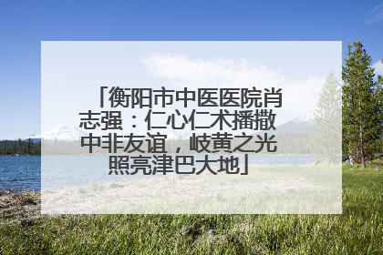 衡阳市中医医院肖志强：仁心仁术播撒中非友谊，岐黄之光照亮津巴大地