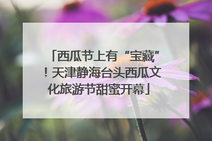 西瓜节上有“宝藏”！天津静海台头西瓜文化旅游节甜蜜开幕