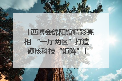 西博会绵阳馆精彩亮相 “一厅两区”打造硬核科技“矩阵”