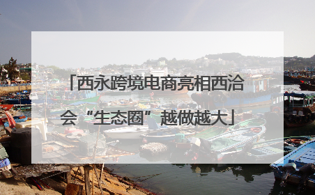 西永跨境电商亮相西洽会“生态圈”越做越大