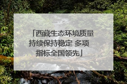 西藏生态环境质量持续保持稳定 多项指标全国领先