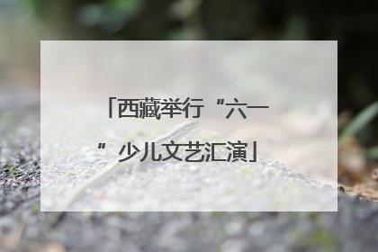 西藏举行“六一”少儿文艺汇演