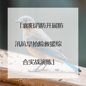 襄阳消防开展防汛抗旱抢险救援综合实战演练