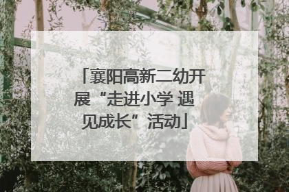 襄阳高新二幼开展“走进小学 遇见成长”活动