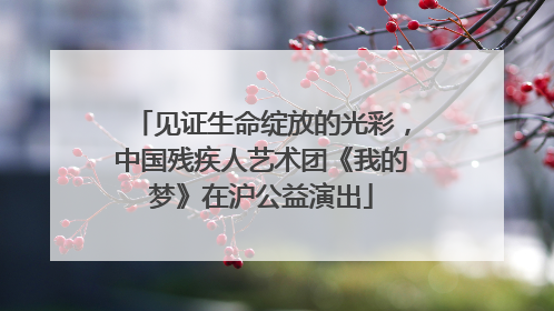 见证生命绽放的光彩，中国残疾人艺术团《我的梦》在沪公益演出