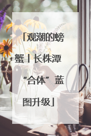 观潮的螃蟹丨长株潭“合体”蓝图升级