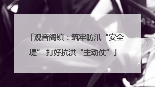 观音阁镇：筑牢防汛“安全堤” 打好抗洪“主动仗”