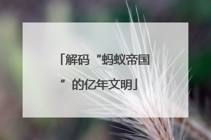 解码“蚂蚁帝国”的亿年文明