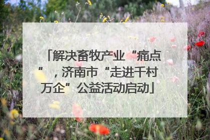 解决畜牧产业“痛点”，济南市“走进千村万企”公益活动启动
