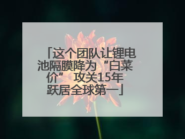 这个团队让锂电池隔膜降为“白菜价” 攻关15年跃居全球第一