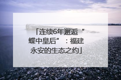 连续6年邂逅“蝶中皇后”：福建永安的生态之约