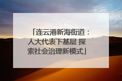 连云港新海街道：人大代表下基层 探索社会治理新模式