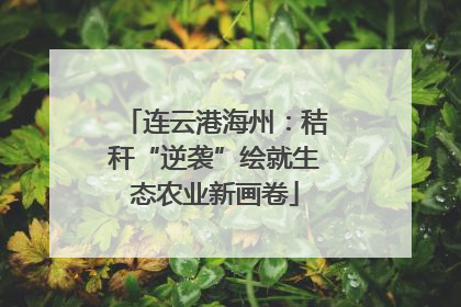 连云港海州：秸秆“逆袭”绘就生态农业新画卷