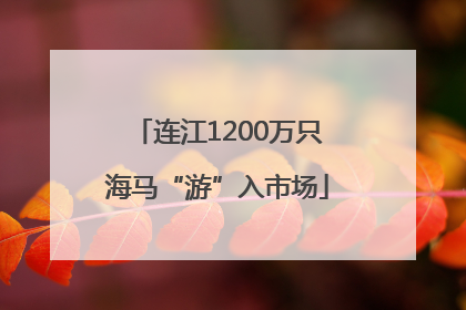 连江1200万只海马“游”入市场