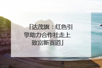 达茂旗：红色引擎助力合作社走上致富新赛道
