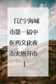 辽宁海城市第一届中医药文化夜市火热开市