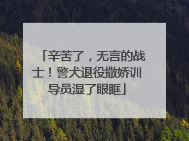 辛苦了，无言的战士！警犬退役撒娇训导员湿了眼眶
