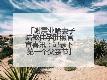 谢震业晒妻子陆敏佳孕肚照官宣喜讯：记录下第一个父亲节