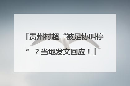 贵州村超“被足协叫停”？当地发文回应！