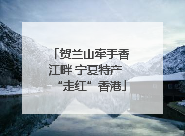 贺兰山牵手香江畔 宁夏特产“走红”香港