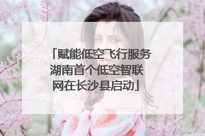 赋能低空飞行服务 湖南首个低空智联网在长沙县启动