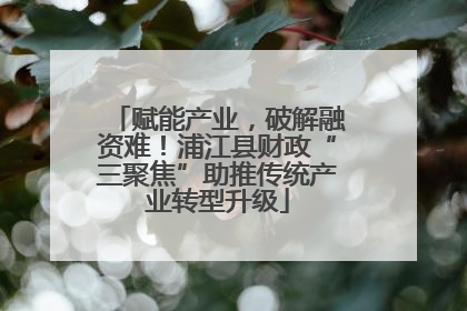 赋能产业，破解融资难！浦江县财政“三聚焦”助推传统产业转型升级