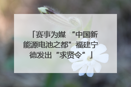赛事为媒 “中国新能源电池之都”福建宁德发出“求贤令”