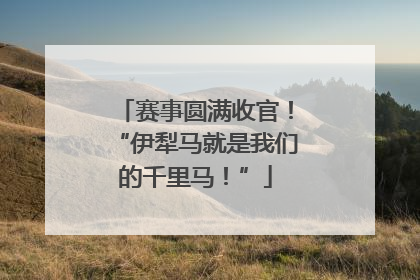 赛事圆满收官！“伊犁马就是我们的千里马！”