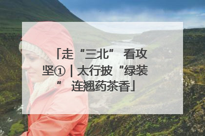 走“三北” 看攻坚①｜太行披“绿装” 连翘药茶香