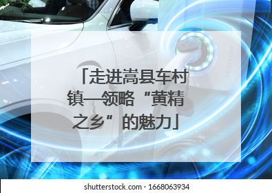 走进嵩县车村镇—领略“黄精之乡”的魅力