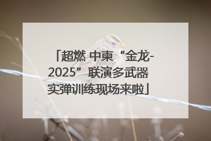 超燃 中柬“金龙-2025”联演多武器实弹训练现场来啦