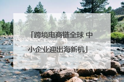 跨境电商链全球 中小企业迎出海新机