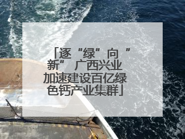 逐“绿”向“新” 广西兴业加速建设百亿绿色钙产业集群
